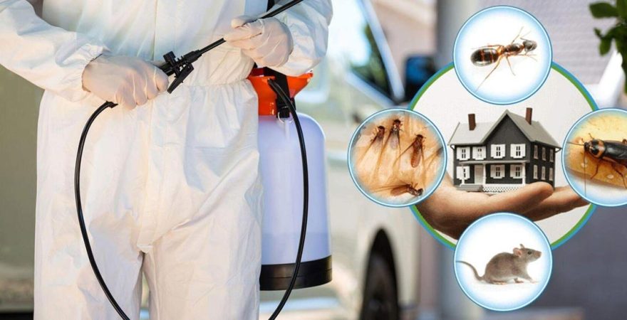 Hadim Böcek İlaçlama