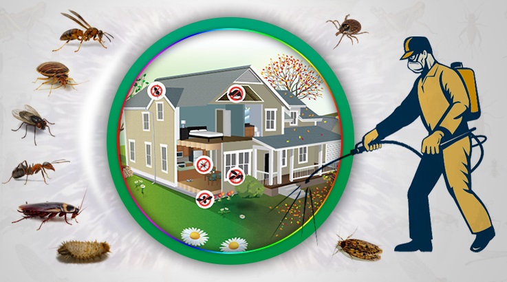 Hadim Böcek İlaçlama