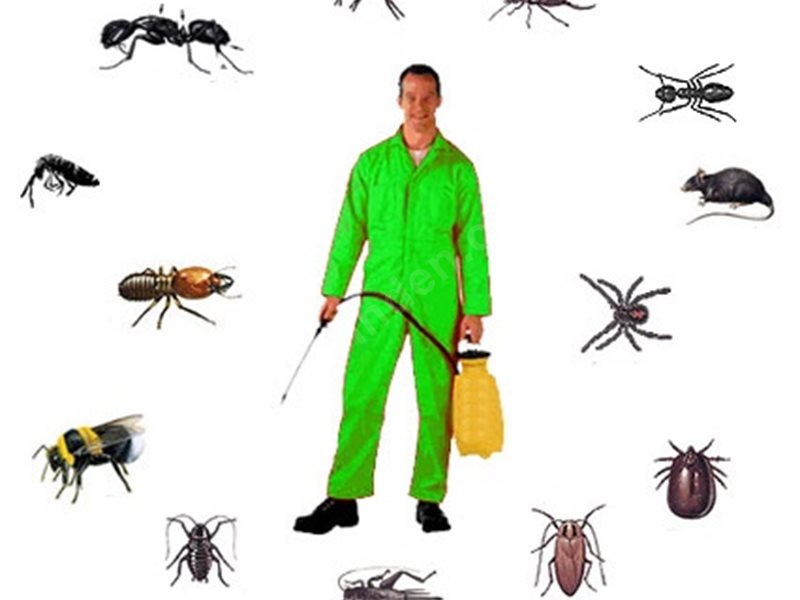 Hadim Böcek İlaçlama